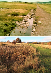 Photograph of Melandra in 1980s and now