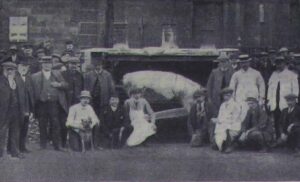 Photograph of the roasted Coronation Ox 1911