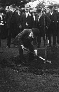 Photograph of Edward Partington planting a tree in Howard Park Glossop 1911