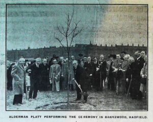 Photograph of planting of a Royal Oak in Bankswood Park 1937