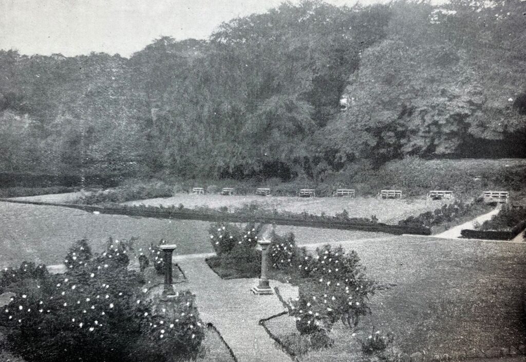 Photograph of the Rose Garden at Manor Park Glossop, 1928