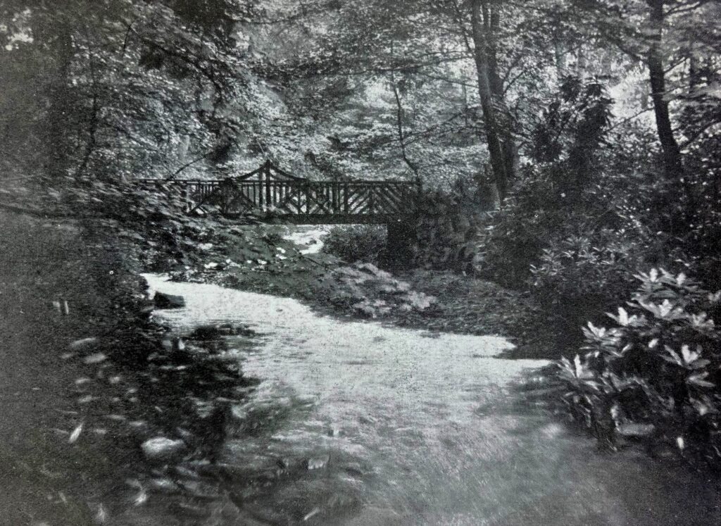 Photograph of rustic bridge on Shelf Brook in Manor Park, Glossop