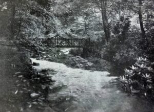 Photograph of rustic bridge on Shelf Brook in Manor Park, Glossop