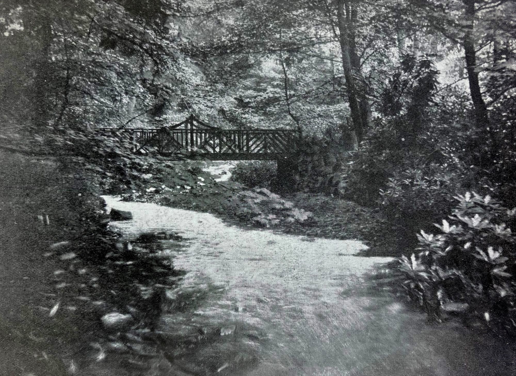 Photograph of rustic bridge on Shelf Brook in Manor Park, Glossop