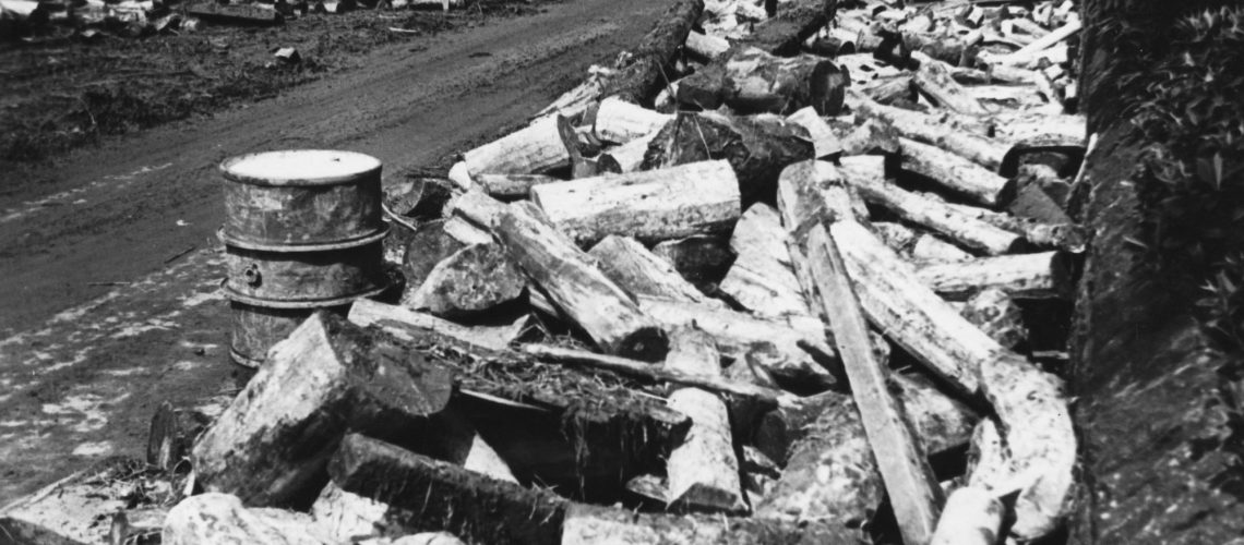 Photograph of Logs in Dinting in 1944 floods