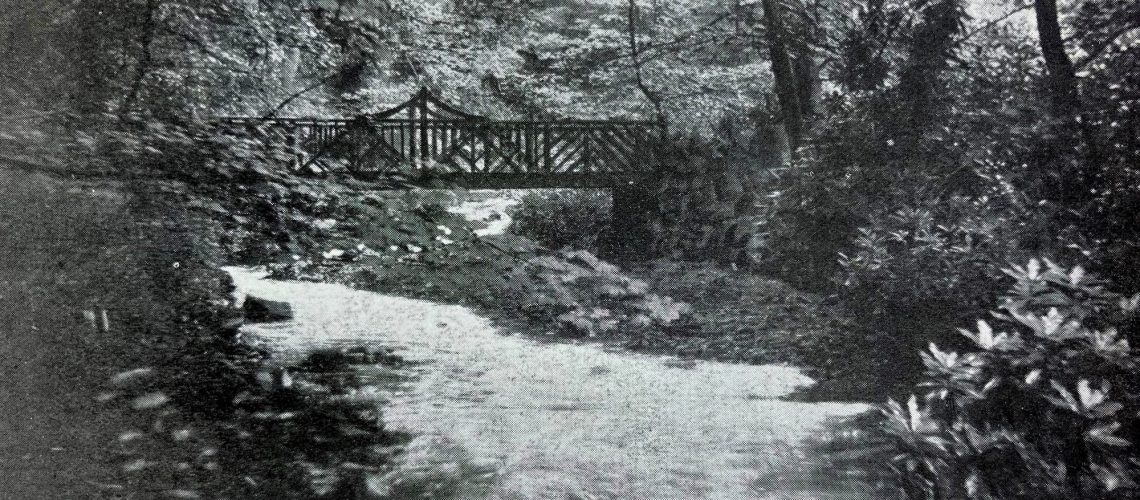 Photograph of rustic bridge on Shelf Brook in Manor Park, Glossop