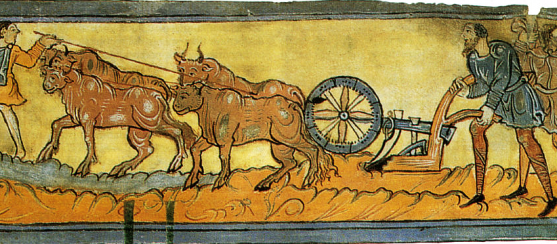 Anglo Saxons ploughing
